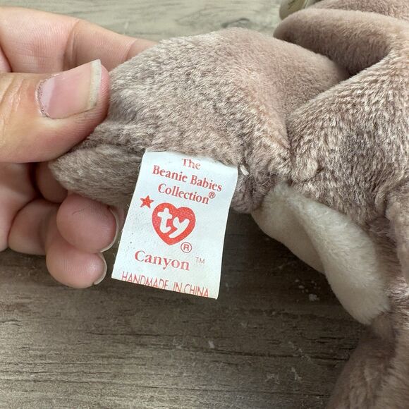 Ty Beanie Baby Plus  Mountain Lion Canyon May 29 1998 - Picture 10 of 11